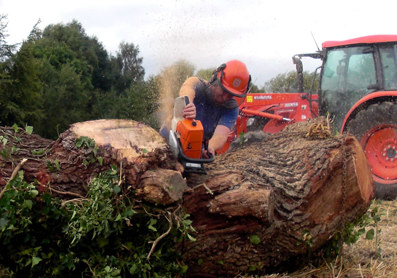 Forestry